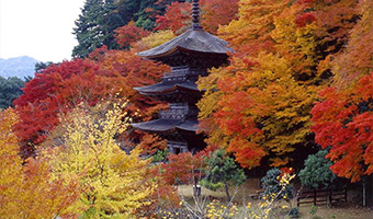 金剛院